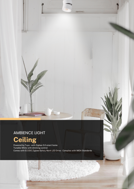 HaloGlow Surface Spotlight - AT Smart Homes - Product-Catalog - Ambience Light - Ceiling Series