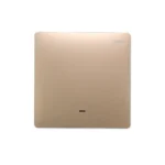 Zigbee Scene Smart Switch Single Rocker Champagne Gold